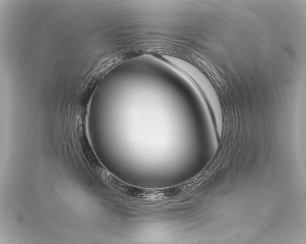 X0000116050333200911201411