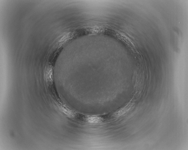 X0000116050336200911201411