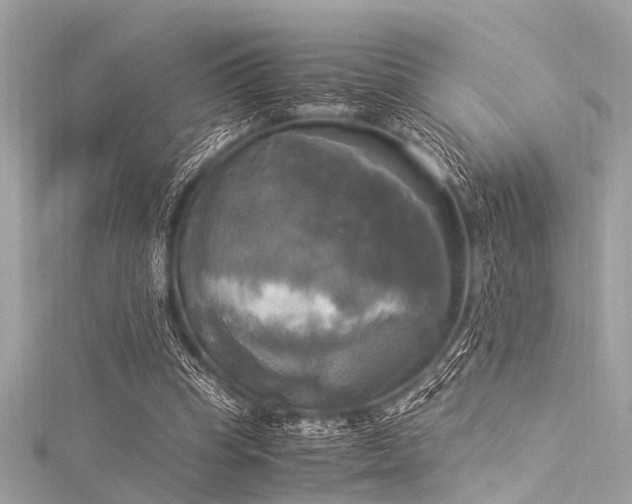 X0000116050345200911201411