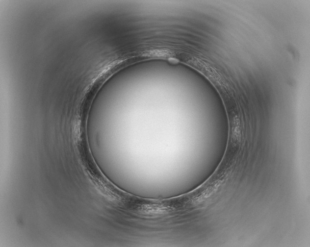 X0000116050351200911201411