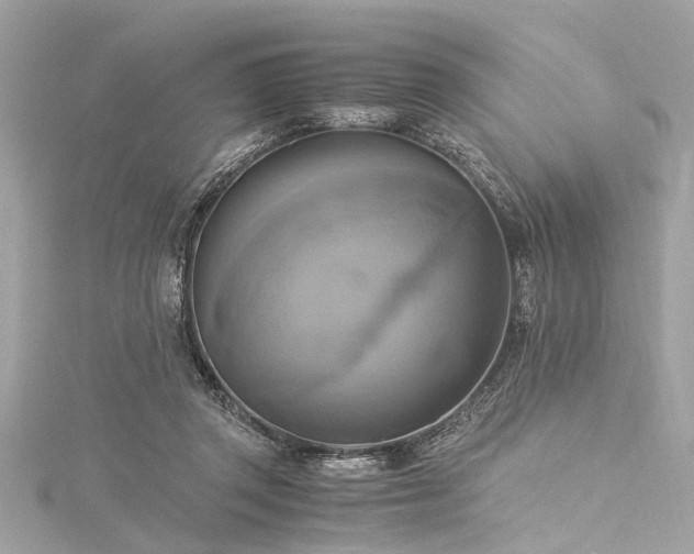 X0000116050357200911201411