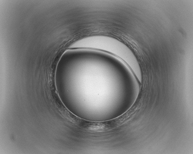 X0000116050369200911201411