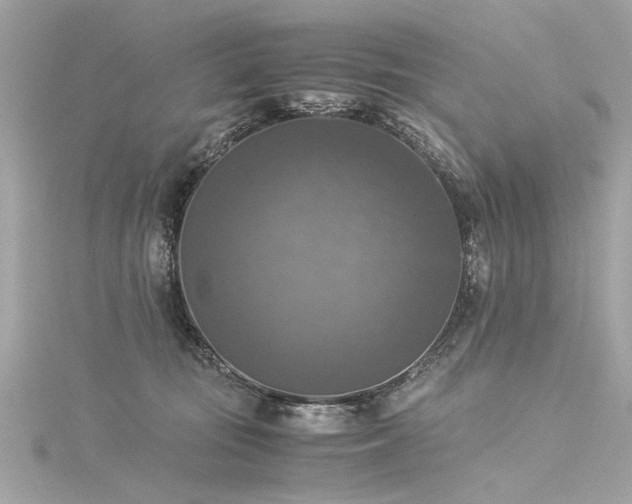X0000116050371200911201411