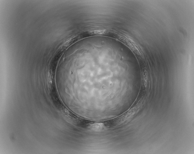 X0000116050374200911201411