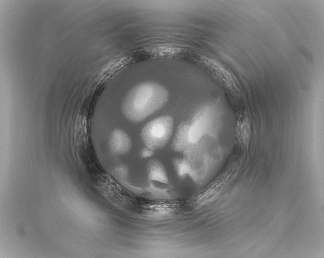 X0000116050381200911201411