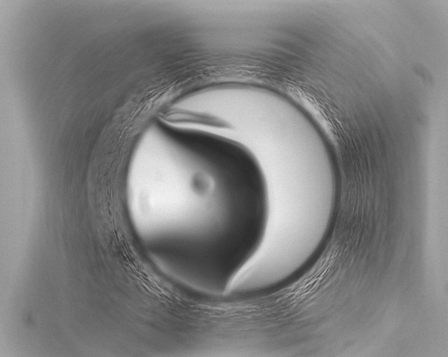 X0000116050385200911201411
