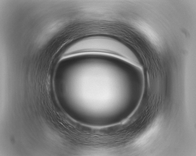 X0000116050387200911201411