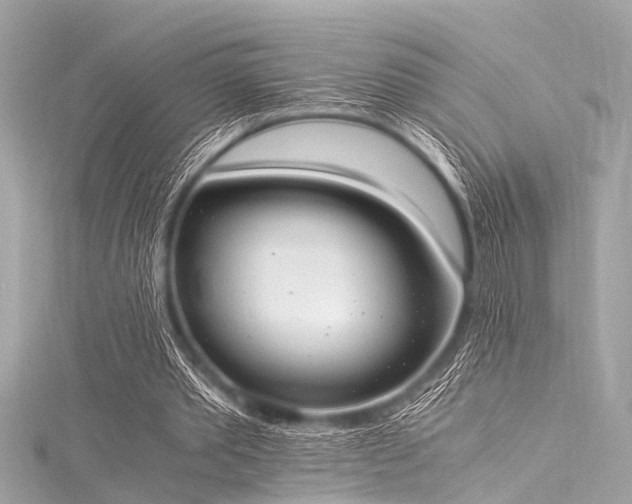 X0000116050389200911201411