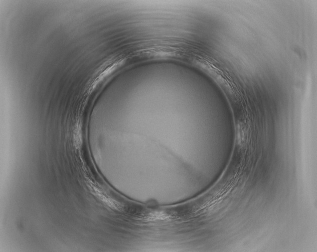 X0000116050390200911201411