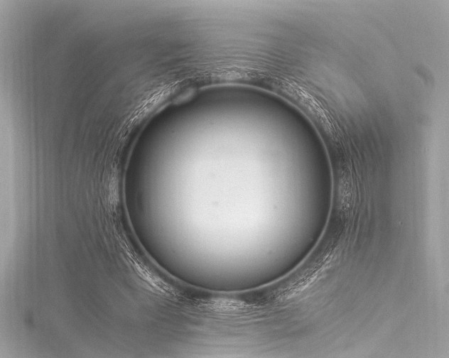 X0000116050393200911201411
