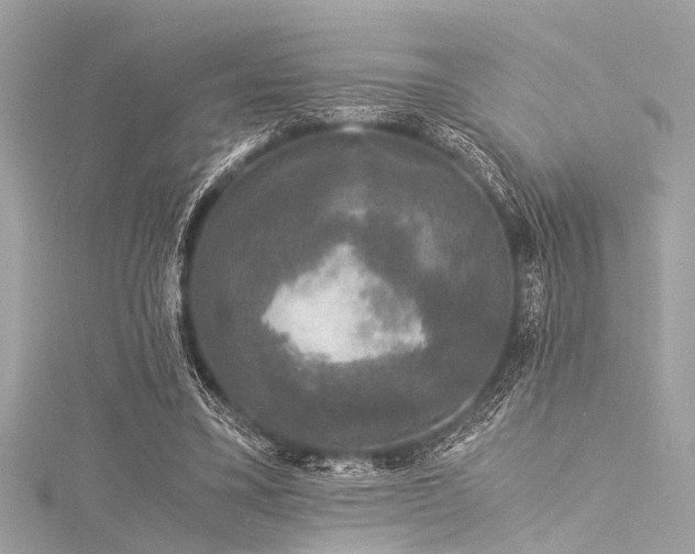 X0000116050395200911201411
