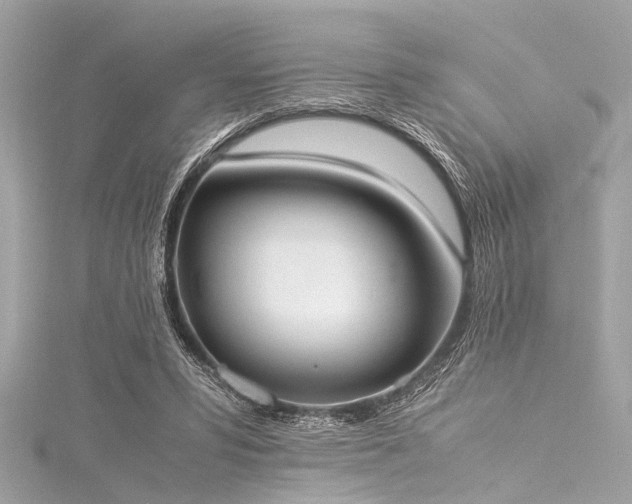 X0000116050399200911201411