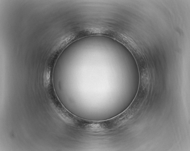 X0000116050406200911201411