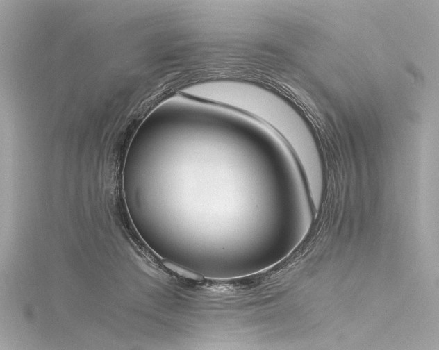 X0000116050409200911201410