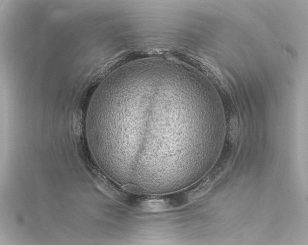 X0000116050413200911201410