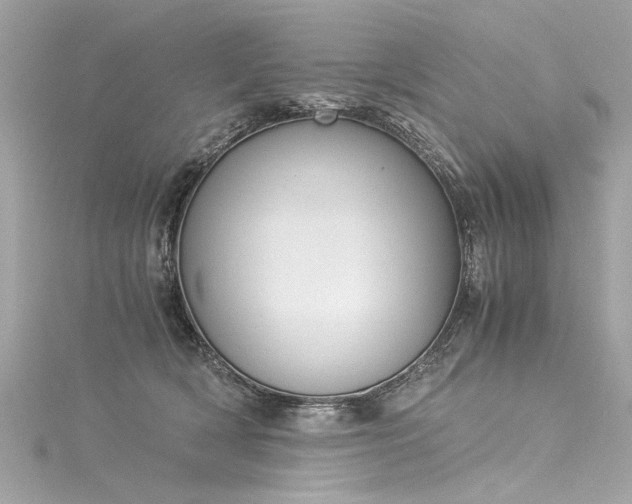 X0000116050418200911201410