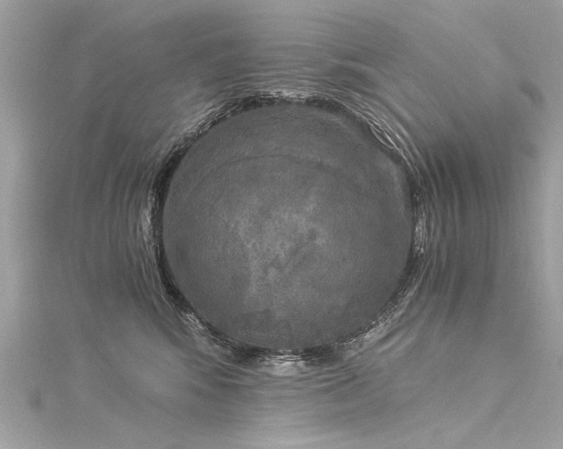 X0000116050424200911201410
