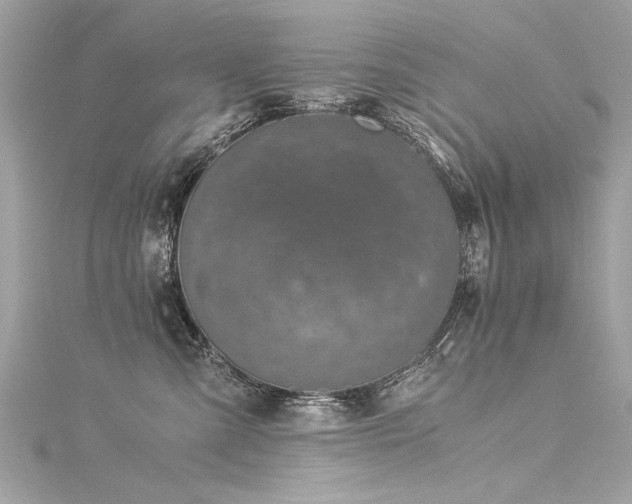 X0000116050427200911201410