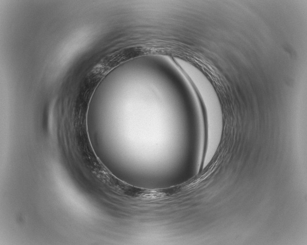 X0000116050429200911201410