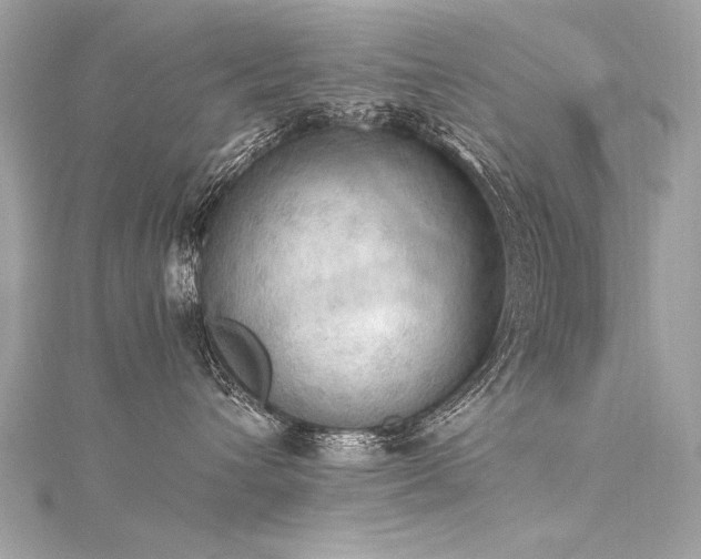 X0000116050432200911201410