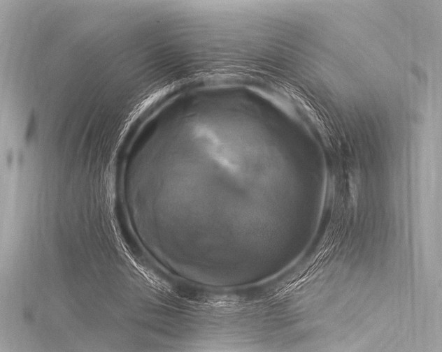 X0000116050438200911201410