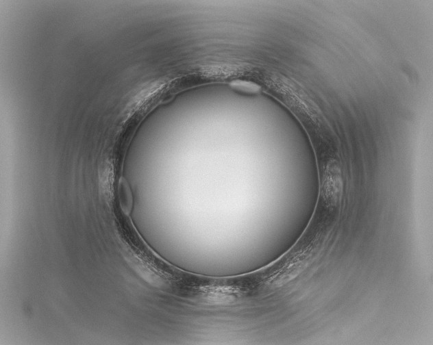 X0000116050448200911201410