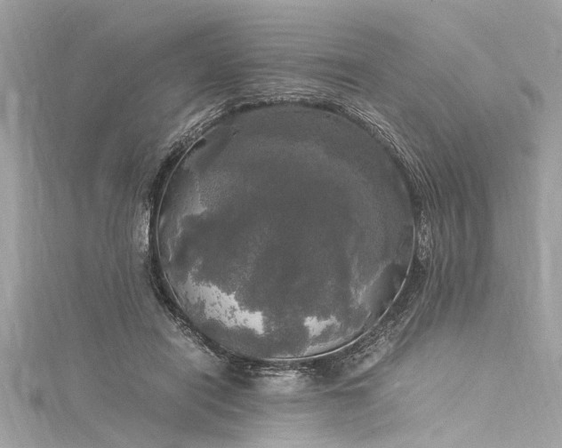 X0000116050454200911201410