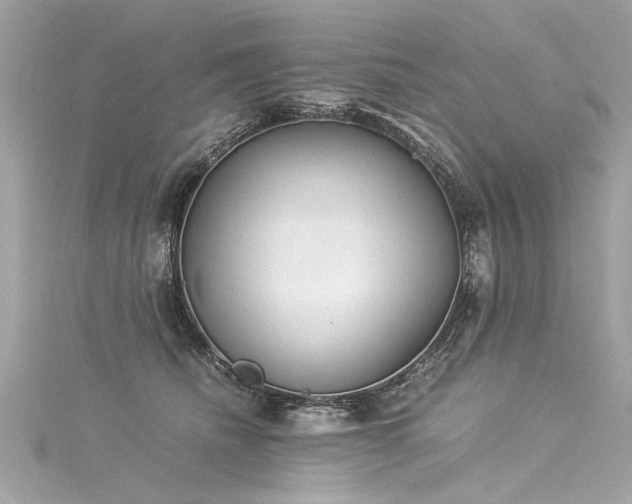 X0000116050468200911201410