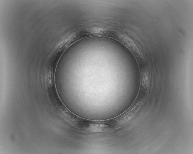 X0000116050470200911201410