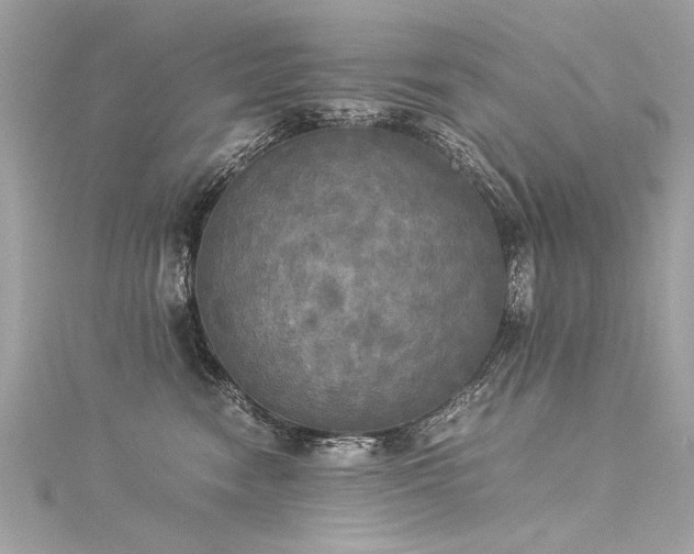 X0000116050474200911201410
