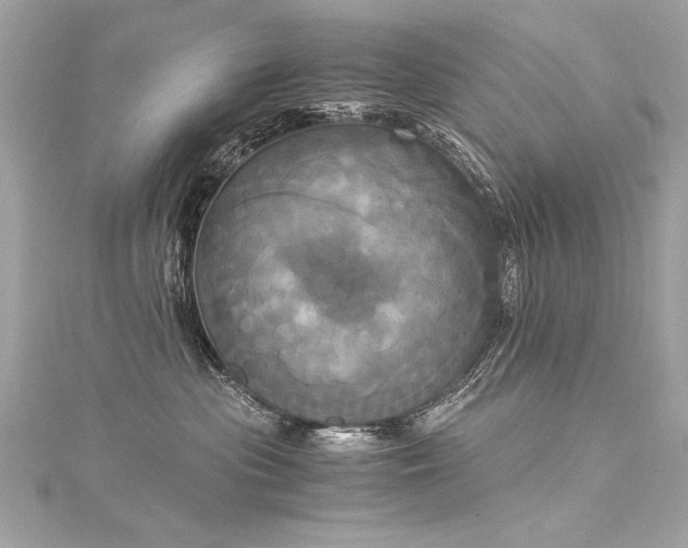 X0000116050477200911201410