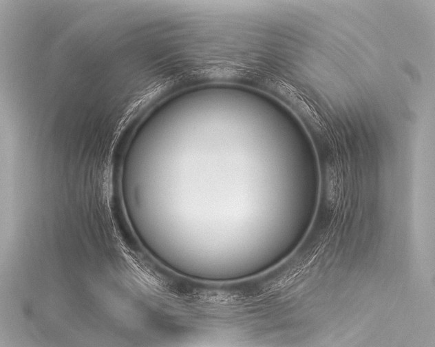 X0000116050486200911201410