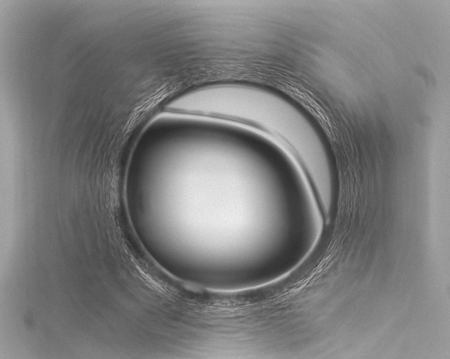 X0000116050489200911201409