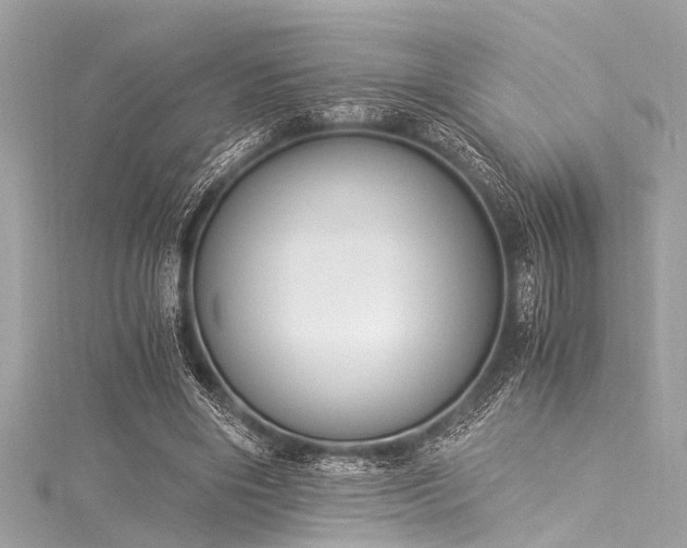 X0000116050490200911201409