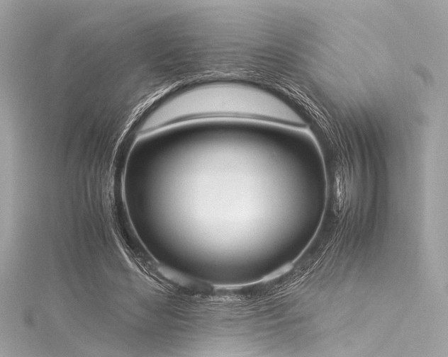 X0000116050492200911201409