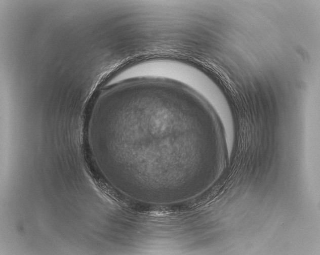 X0000116050496200911201409