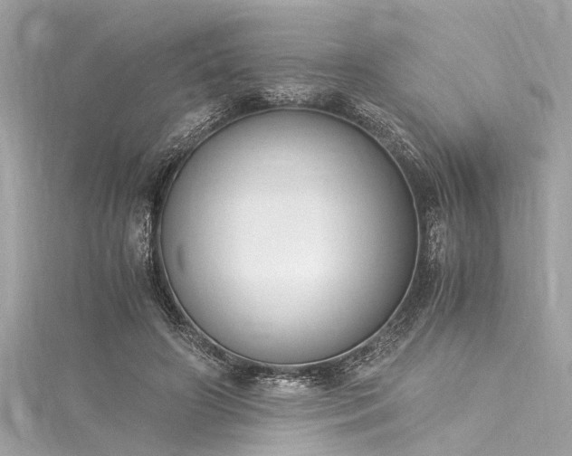 X0000116050498200911201409