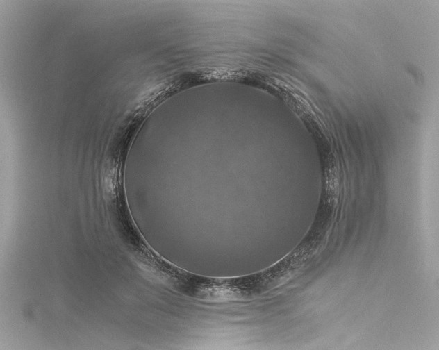 X0000116050503200911201409