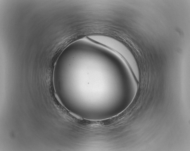 X0000116050505200911201409