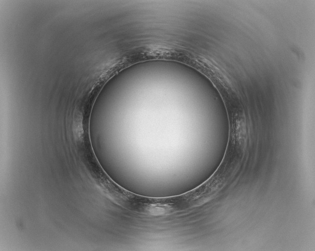 X0000116050508200911201409