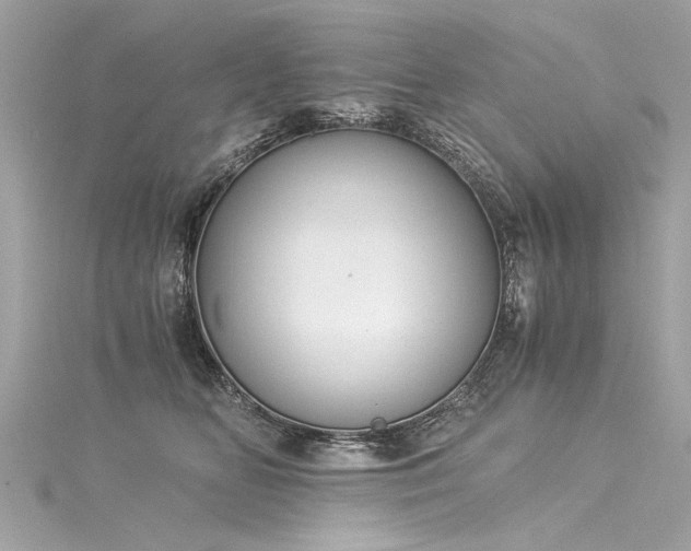 X0000116050518200911201409