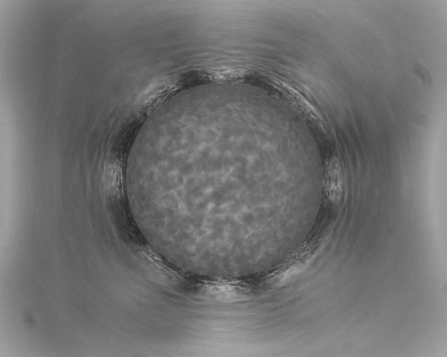 X0000116050523200911201409