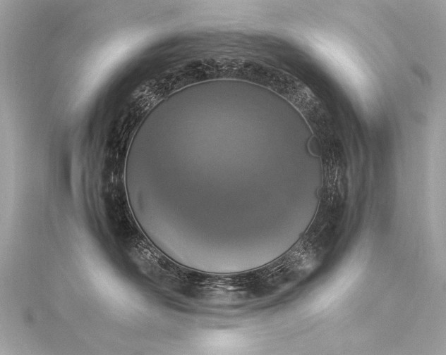 X0000116050526200911201409