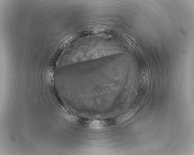 X0000116050527200911201409