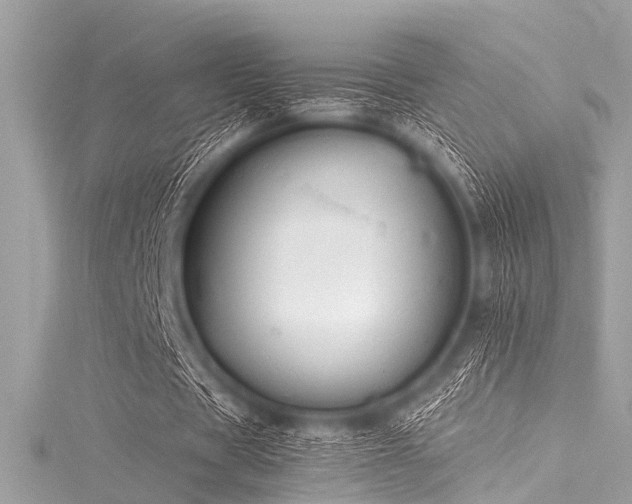 X0000116050529200911201408