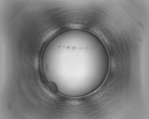 X0000116050533200911201408