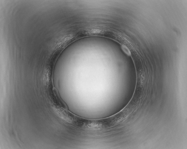 X0000116050546200911201409