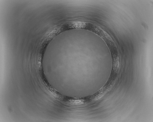 X0000116050553200911201409