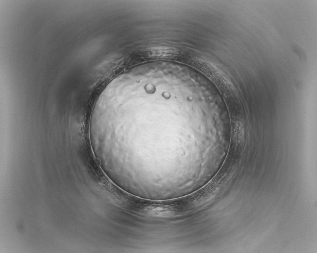 X0000116050557200911201409