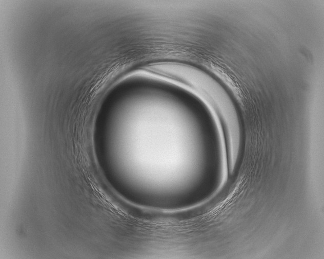 X0000116050577200911201408